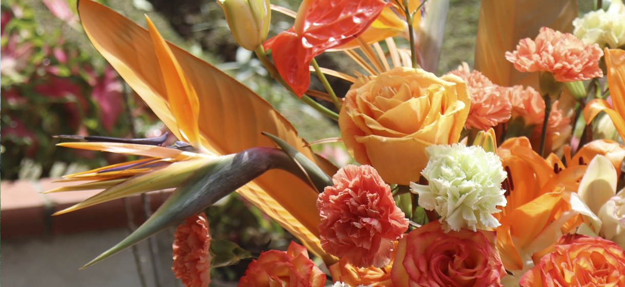 bouquets de flores medellin