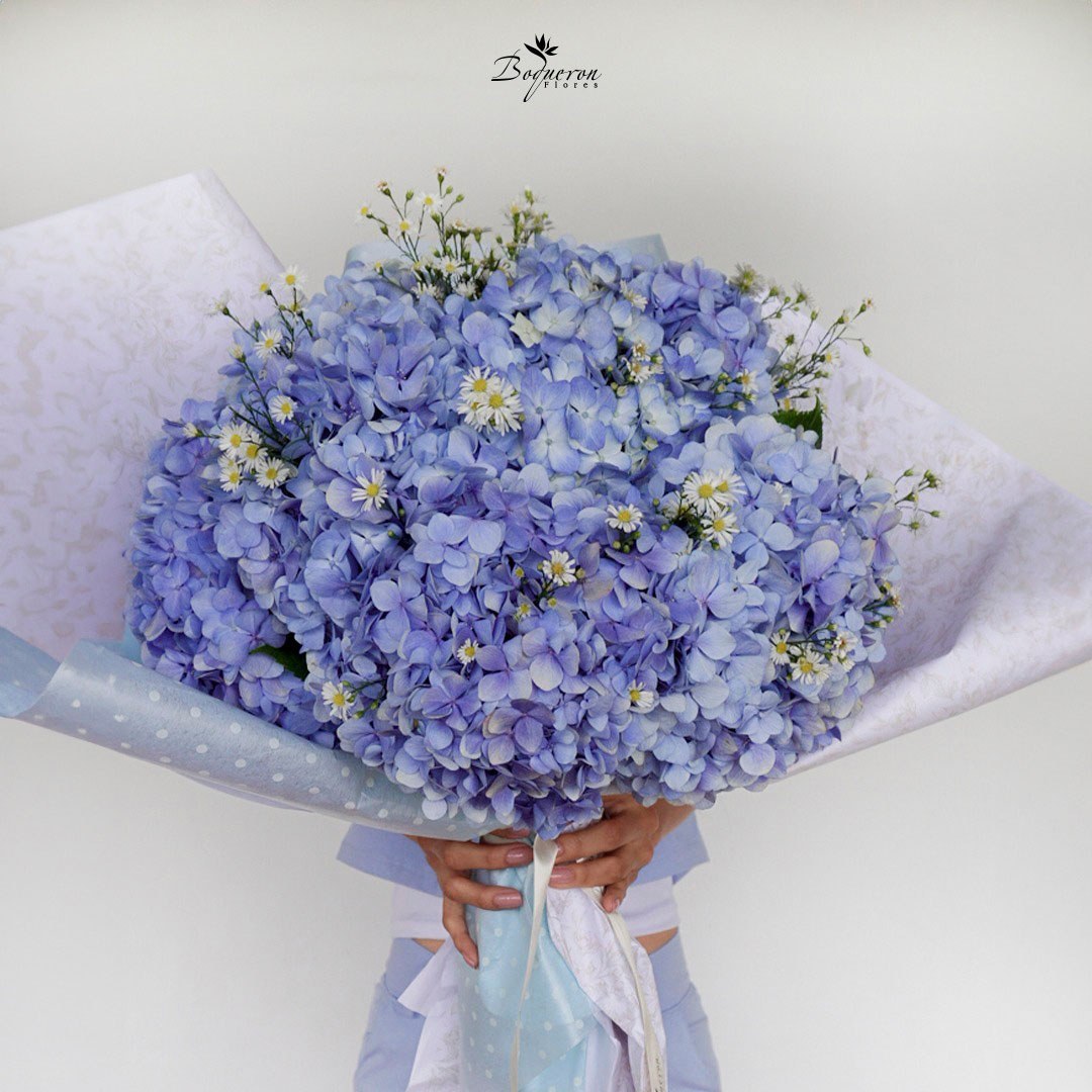 BOUQUET HORTENSIA de Boquerón Flores