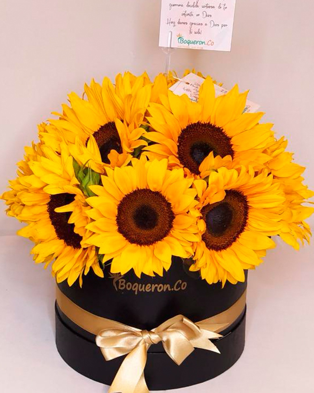 CILINDRO GIRASOLES de Boquerón Flores